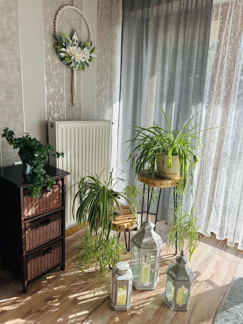 Projekt bez nazwy - 2025-04-02T083148.473